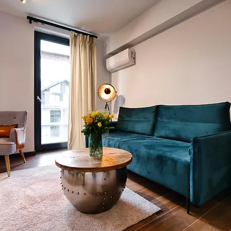 公寓 Apartament B35 扎热切