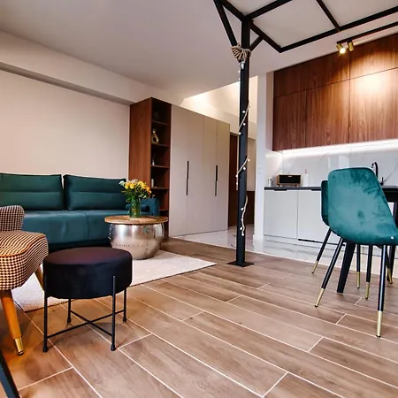 Apartament B35 * 扎热切