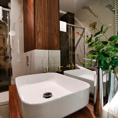 Apartament B35 扎热切