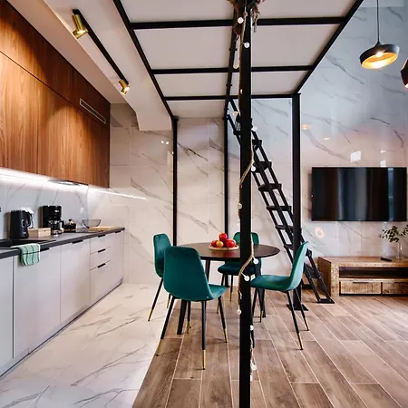 公寓 Apartament B35 扎热切